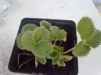 060520001045.webp