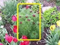 100_4922.webp