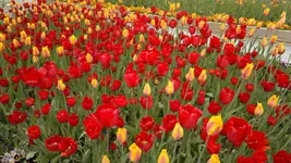 270420131522.webp