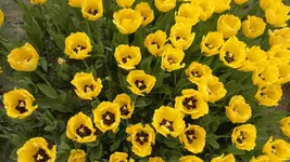 270420131525.webp