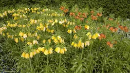 270420131527.webp
