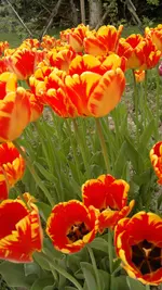 270420131530.webp