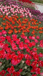 270420131533.webp