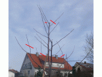 Präsentation1.gif