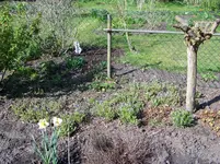 065.webp