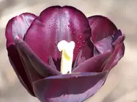021.webp