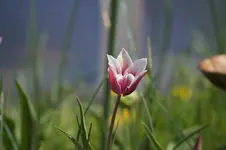_DSC1404.webp