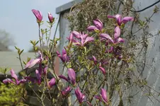 _DSC1445.webp