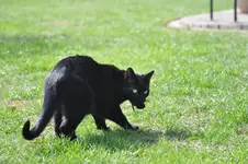 DSC_2815.webp
