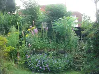 29.Juni 2010 187.webp