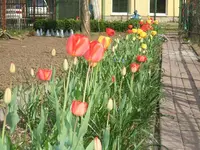 1304300019.webp