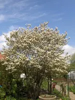 HPIM9472.webp