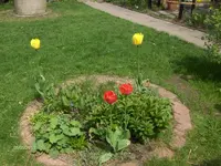 HPIM9473.webp