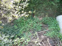 001.webp
