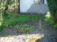 046.webp
