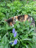 Mieze-05-05-13_3665.webp