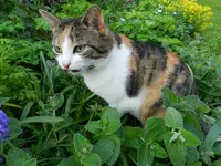 Mieze-05-05-13_3671.webp