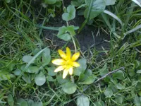 Foto0392.webp