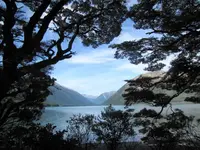 Copy of IMG_1506v.webp