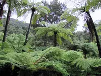 Copy of IMG_1789 v.webp