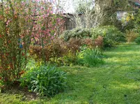 130506 Westflanke - Lebenskraft.webp