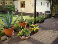 130506 Für den Sommer.webp