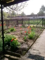 P050513_14.39.webp