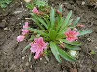 CIMG1208.webp
