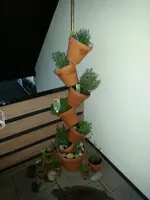 2013-05-06 21.12.16.webp