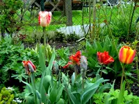 SDC15702.webp