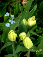 SDC15706.webp