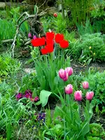SDC15722.webp