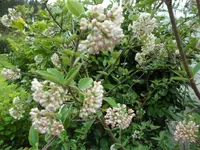 SAM_1013.webp