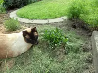SAM_1006.webp