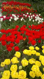 270420131528.webp