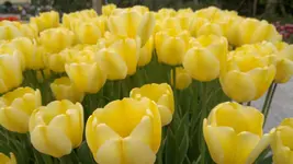 270420131529.webp