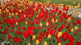 270420131522.webp