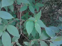 IMG_20130507_163824.webp