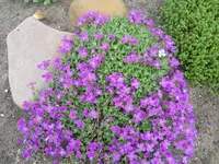 DSCN1969.webp