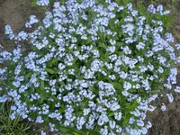DSCN1970.webp