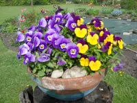 DSCN1976.webp