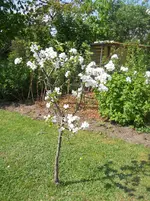 DSCN1978.webp
