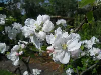 DSCN1979.webp