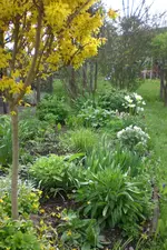 Garten 05 2 2013 008.webp