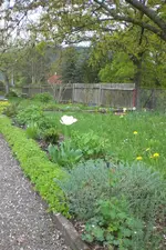 Garten 05 2 2013 019.webp