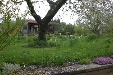 Garten 05 2 2013 021.webp