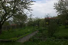 Garten 05 2 2013 024.webp