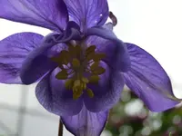 CIMG3050.webp
