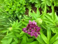 CIMG3067.webp