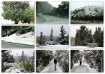 Copy of Schnee in NZ 15.8.2011 orig.v.jpg